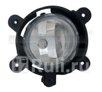 19-a629-01-9b - Противотуманная фара правая (TYC) Kia Sorento 1 (2006-2009)