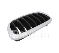 BM07105GAL - Решетка радиатора левая (TYG) BMW X5 F15 (2013-2018)