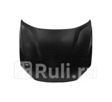 BM20026A - Капот (TYG) BMW E84 (2009-2015)