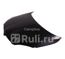 SD20010A - Капот (TYG) Skoda Roomster (2006-2010)