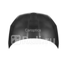 SD20017A - Капот (TYG) Skoda Roomster (2010-2015)