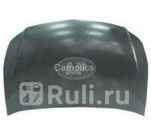 SZ20030A - Капот (TYG) Fiat Sedici (2005-2014)